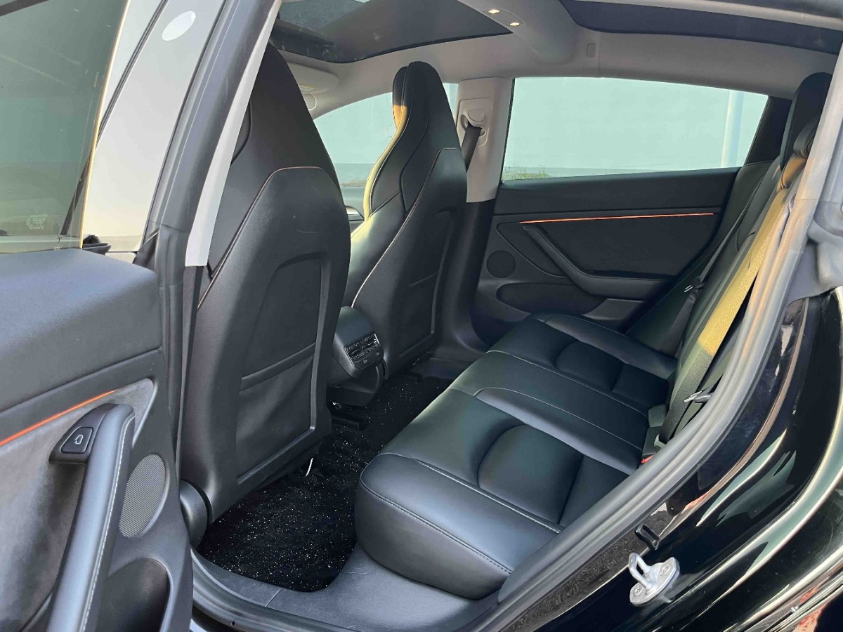 Tesla Model 3 2021 car image #7