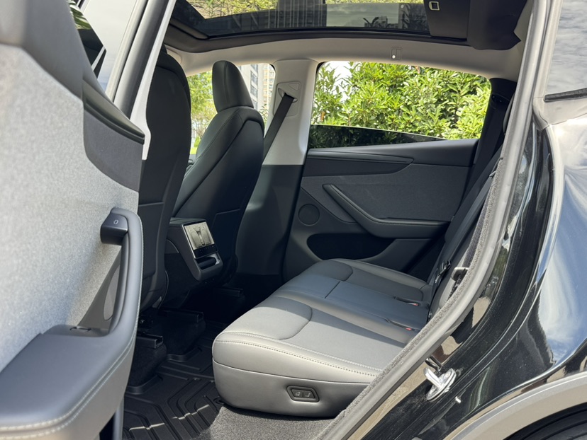Tesla Model Y 2025 car image #6