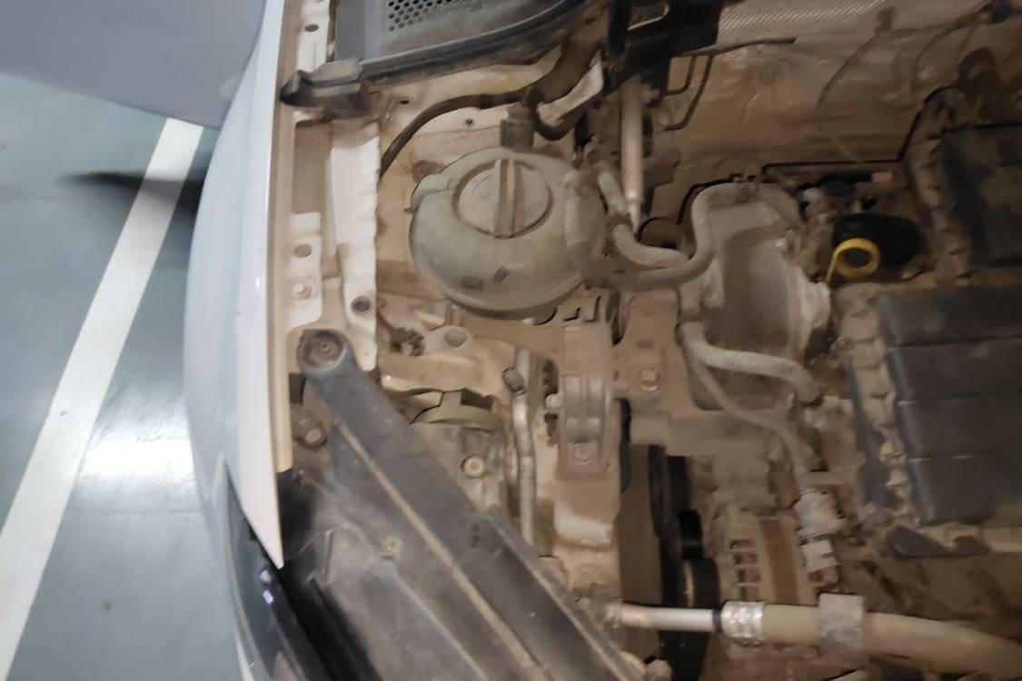 Volkswagen Golf 2014 car image #11