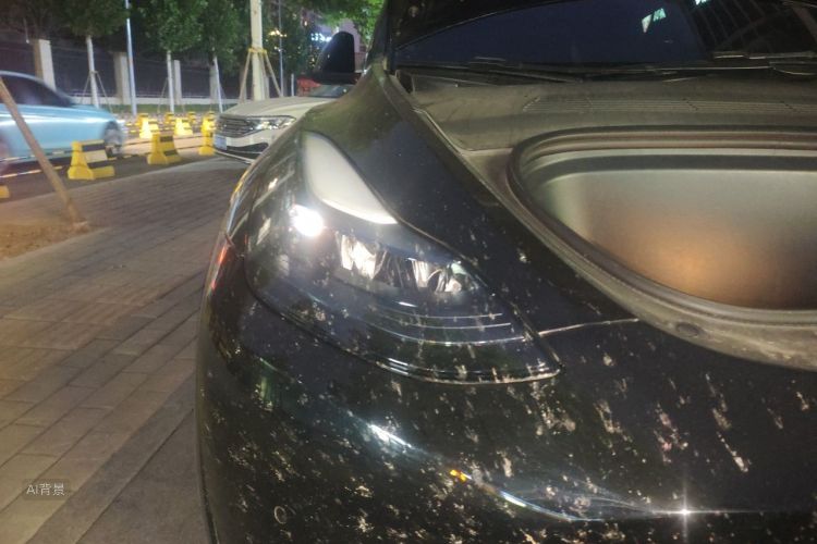 Tesla Model Y 2022 #8 Tesla Model Y 2022 car image #8