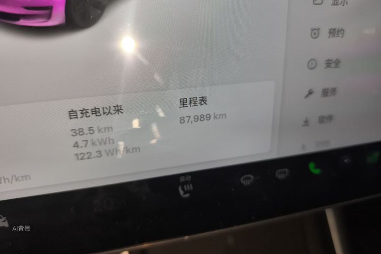 Tesla Model 3 2020 car image #14