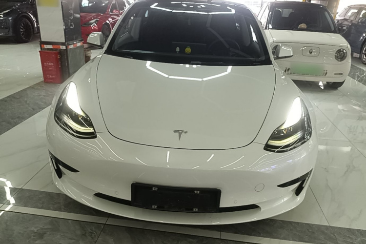 Tesla Model 3 2022 #3 Tesla Model 3 2022 car image #3