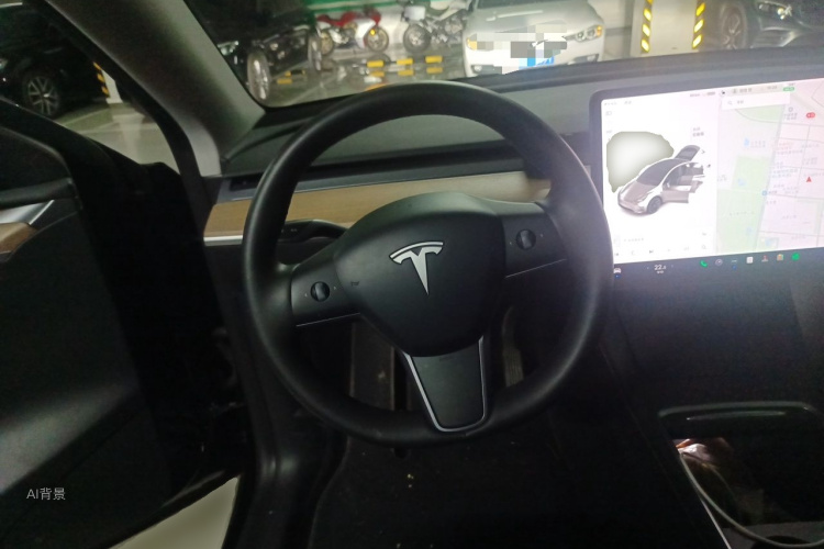 Tesla Model Y 2021 car image #12