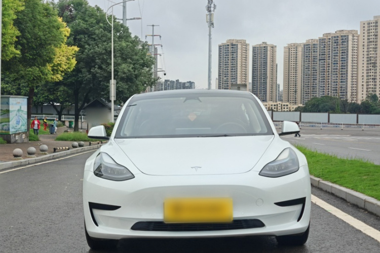 Tesla Model 3 2023 car image #3