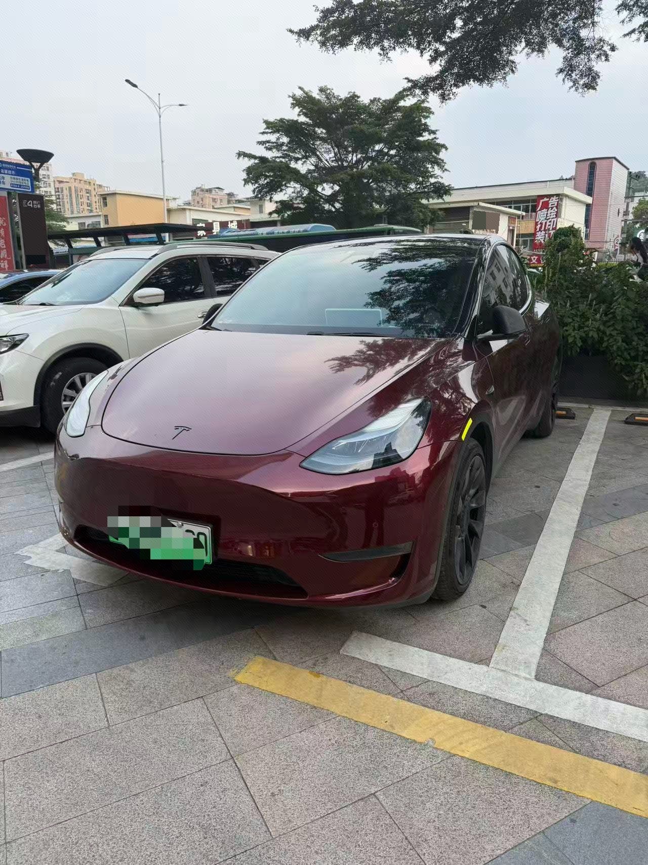 Tesla Model Y 2021 car image 