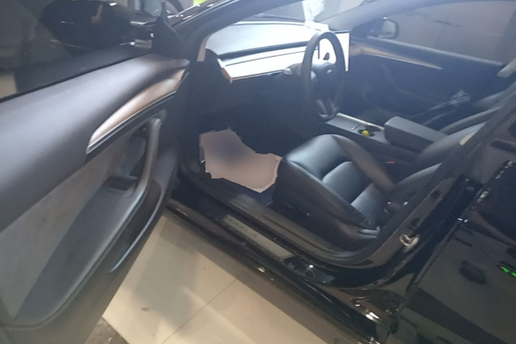 Tesla Model 3 2021 car image #15