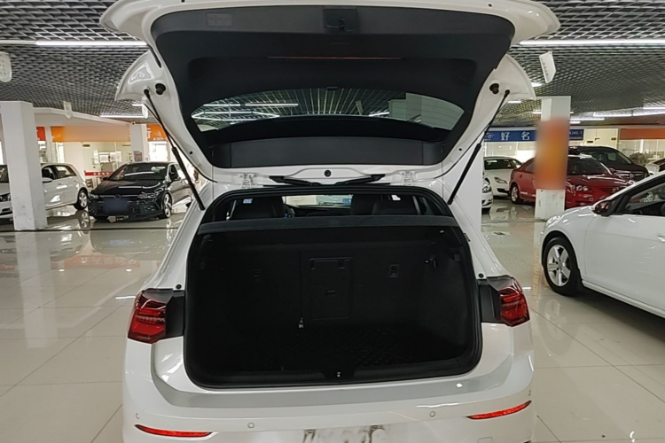 Volkswagen Golf 2021 car image #19