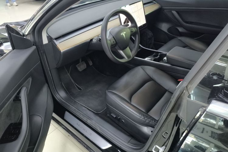 Tesla Model 3 2020 car image #16