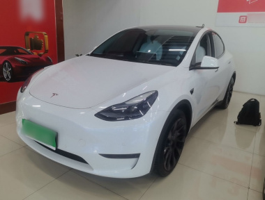 Tesla Model Y 2022 Tesla Model Y 2022 car image