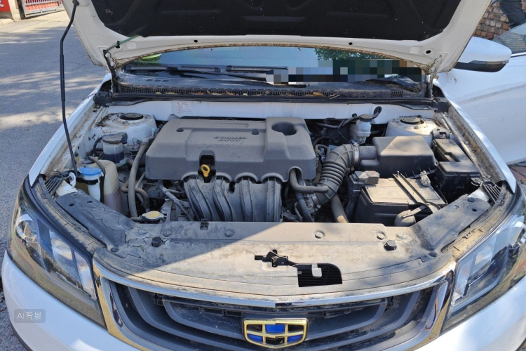 GEELY Emgrand 2017 car image #22