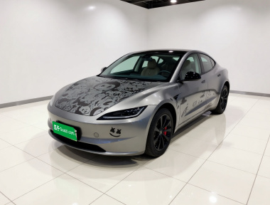 Tesla Model 3 2024 Tesla Model 3 2024 car image