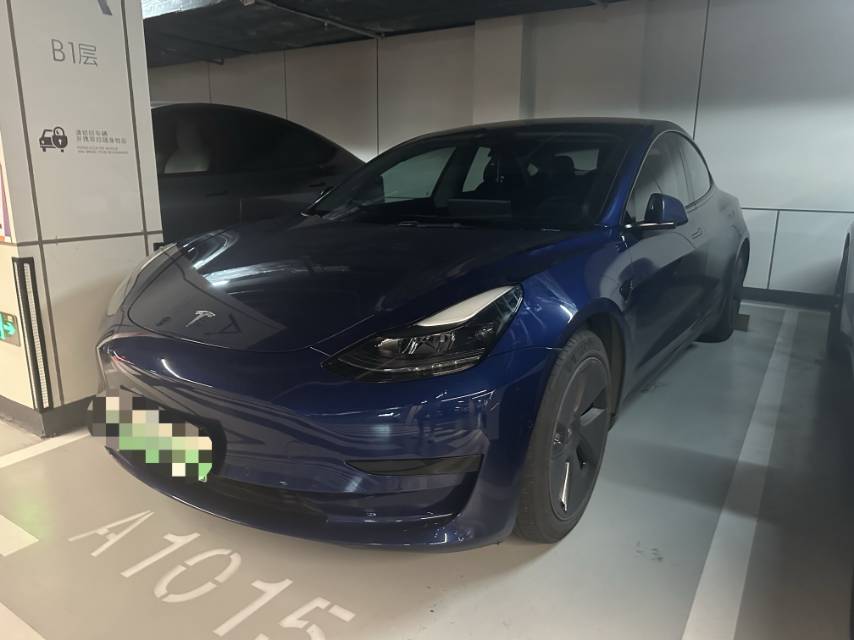 Tesla Model 3 2021 Tesla Model 3 2021 car image