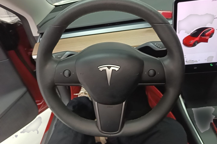 Tesla Model 3 2020 صورة سيارة #11