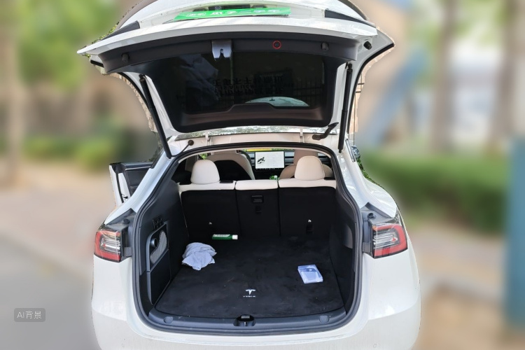 Tesla Model Y 2023 car image #21