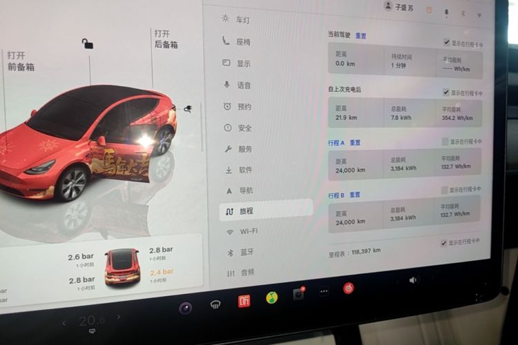 Tesla Model Y 2023 car image #12