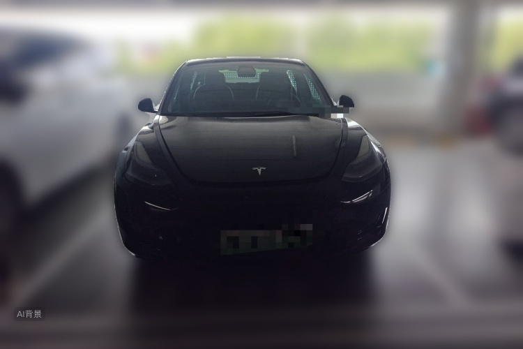 Tesla Model 3 2021 car image #3