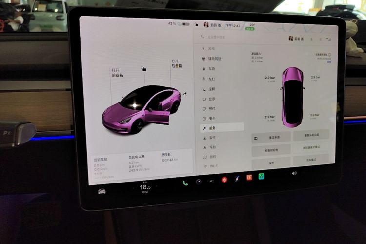 Tesla Model 3 2021 #13 Tesla Model 3 2021 car image #13