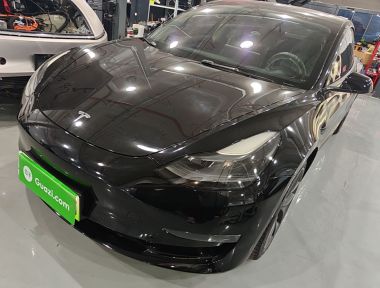 Tesla Model 3 2021 Tesla Model 3 2021 immagine di auto