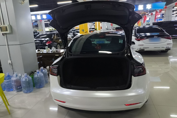 Tesla Model 3 2022 #19 Tesla Model 3 2022 car image #19