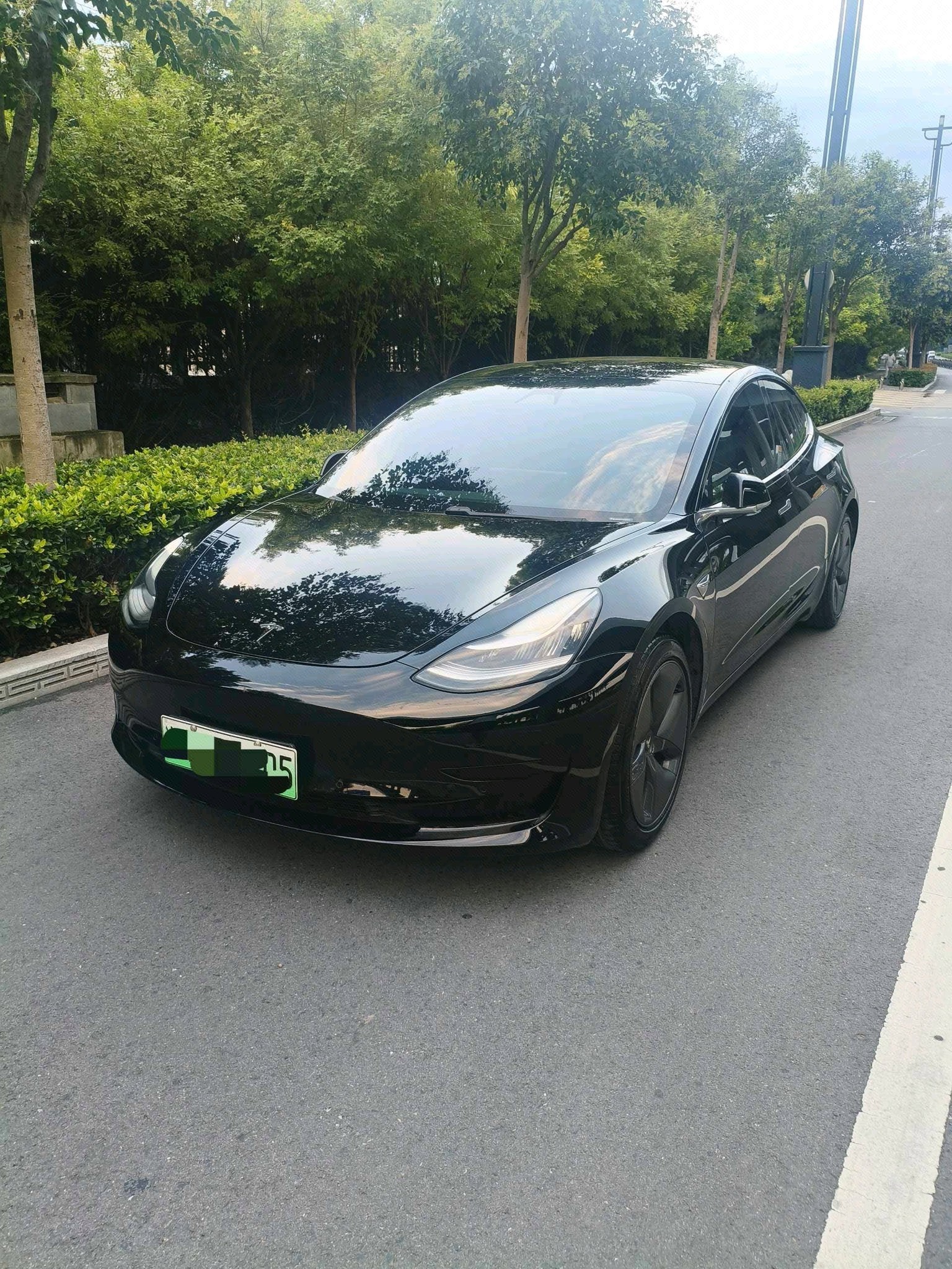 Tesla Model 3 2020 Tesla Model 3 2020 car image