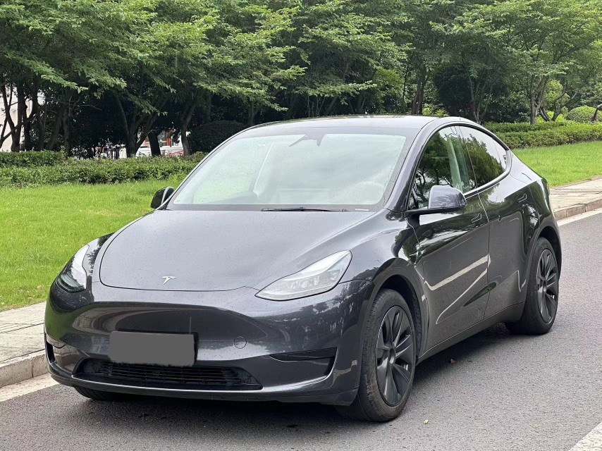 Tesla Model Y 2024 car image 