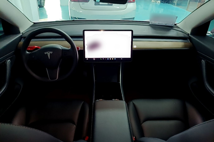 Tesla Model 3 2020 car image #10