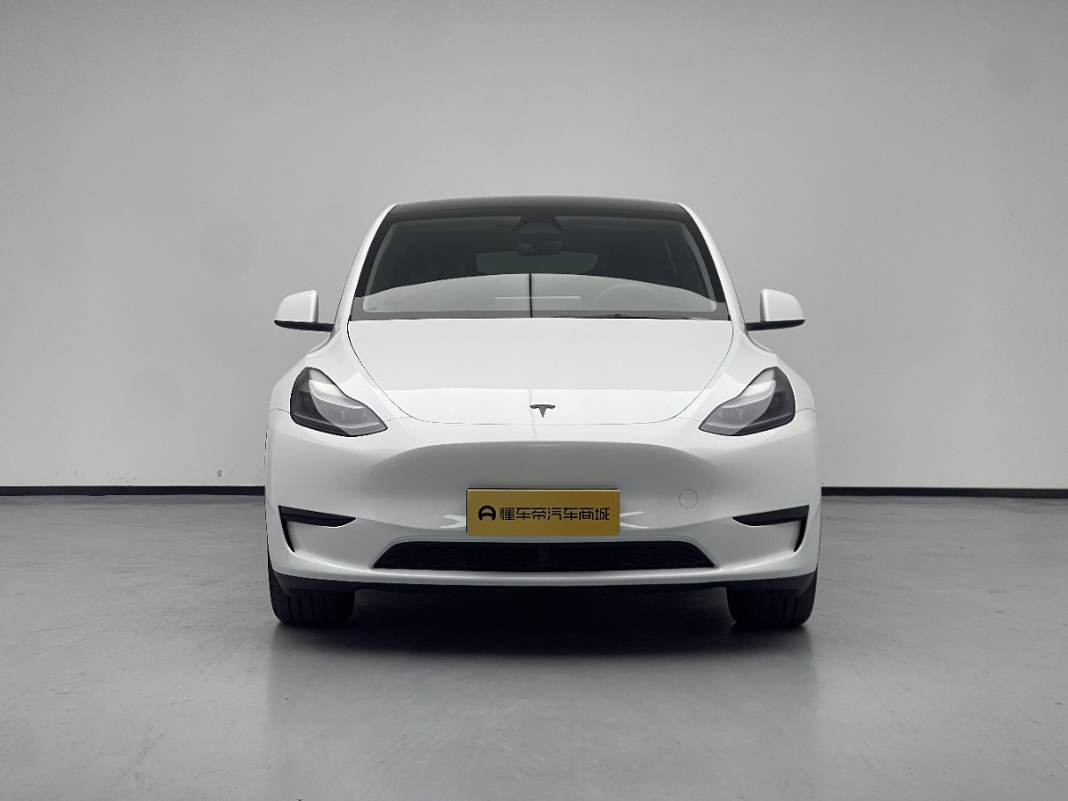 Tesla Model Y 2024 car image #2