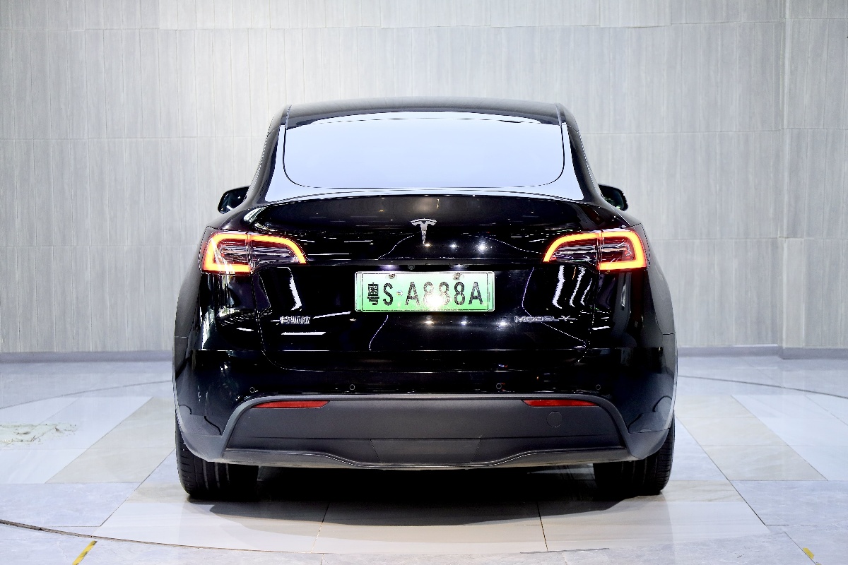 Tesla Model Y 2022 immagine di auto #4