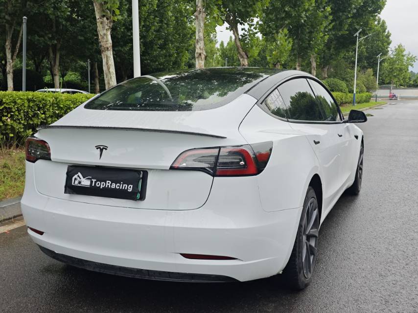Tesla Model 3 2022 #9 Tesla Model 3 2022 car image #9