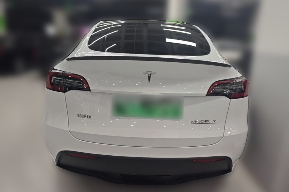 Tesla Model Y 2024 car image #6