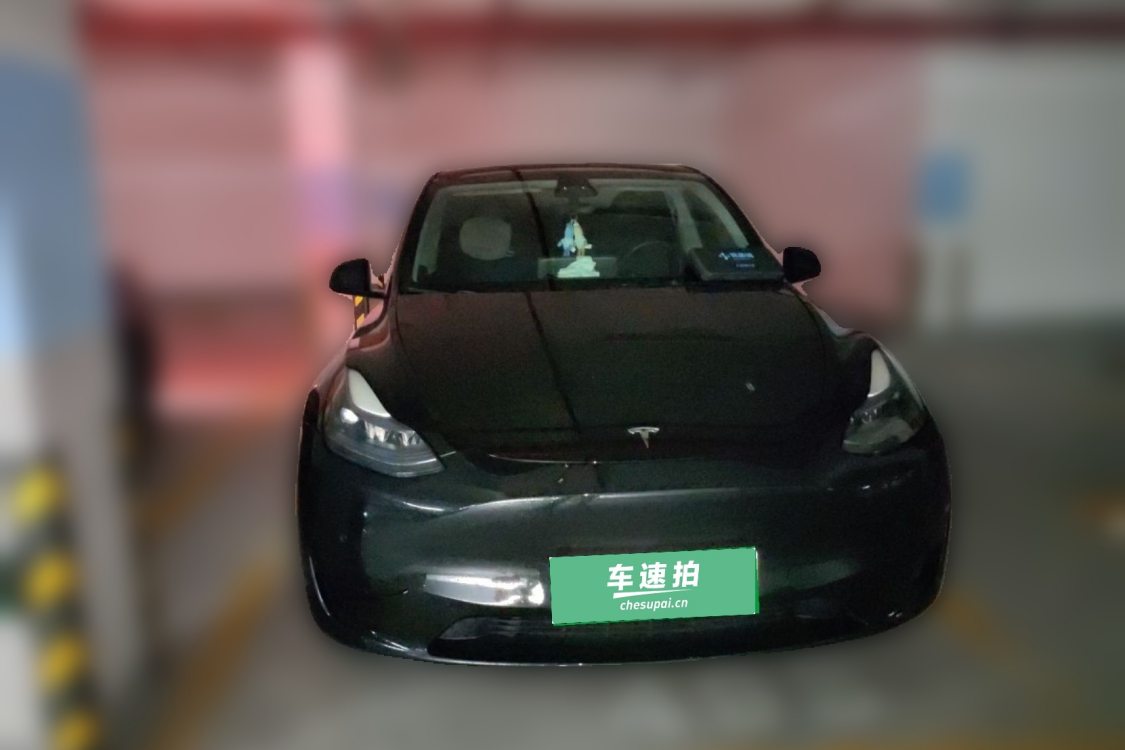Tesla Model Y 2023 #5 Tesla Model Y 2023 car image #5