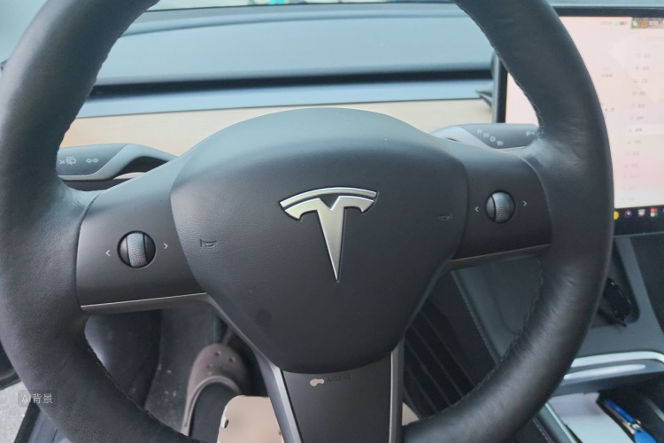 Tesla Model 3 2022 #12 Tesla Model 3 2022 car image #12