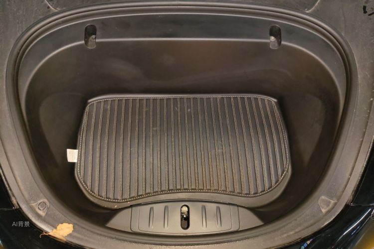 Tesla Model 3 2020 immagine di auto #22