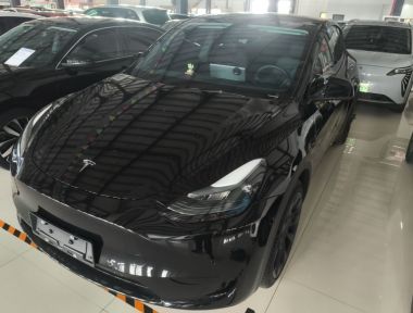 Tesla Model Y 2023 Tesla Model Y 2023 car image