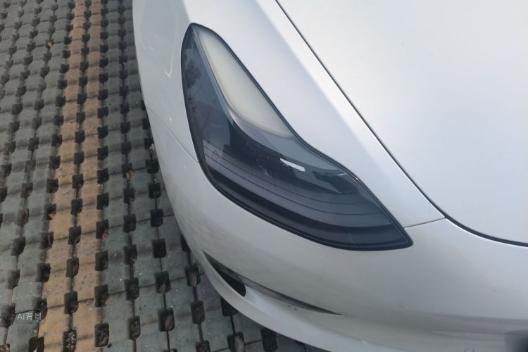 Tesla Model 3 2021 #8 Tesla Model 3 2021 car image #8
