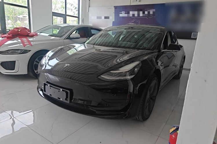 Tesla Model 3 2020 car image #2
