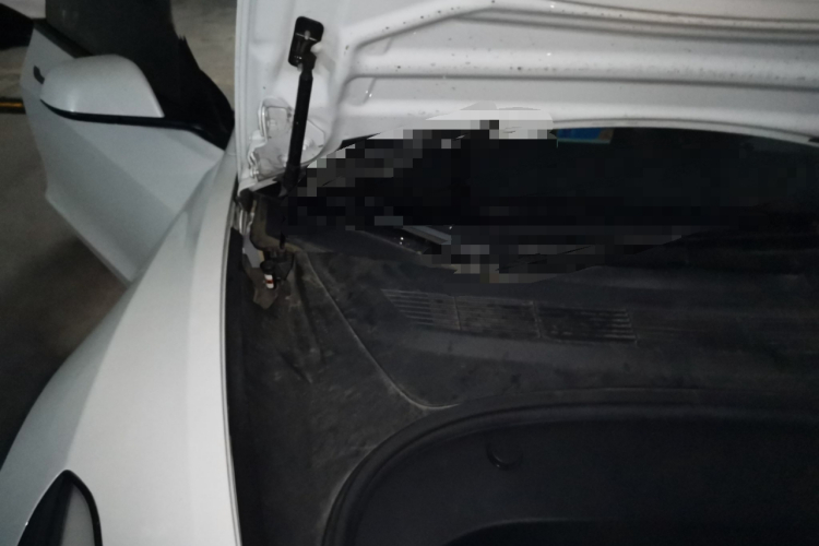 Tesla Model 3 2022 #24 Tesla Model 3 2022 car image #24