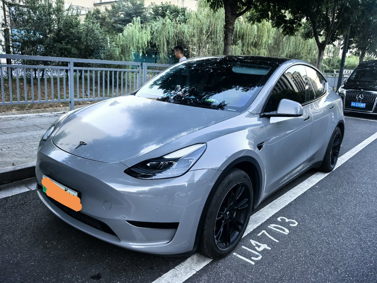 Tesla Model Y 2022 car image 
