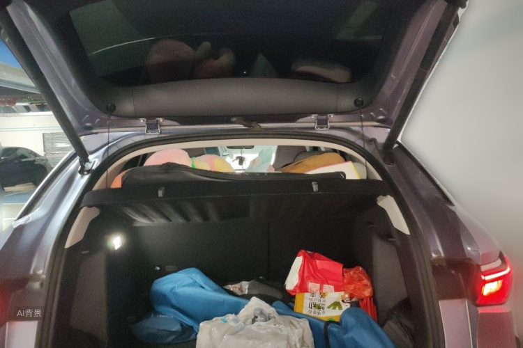 BYD Yuan Plus 2023 car image #21
