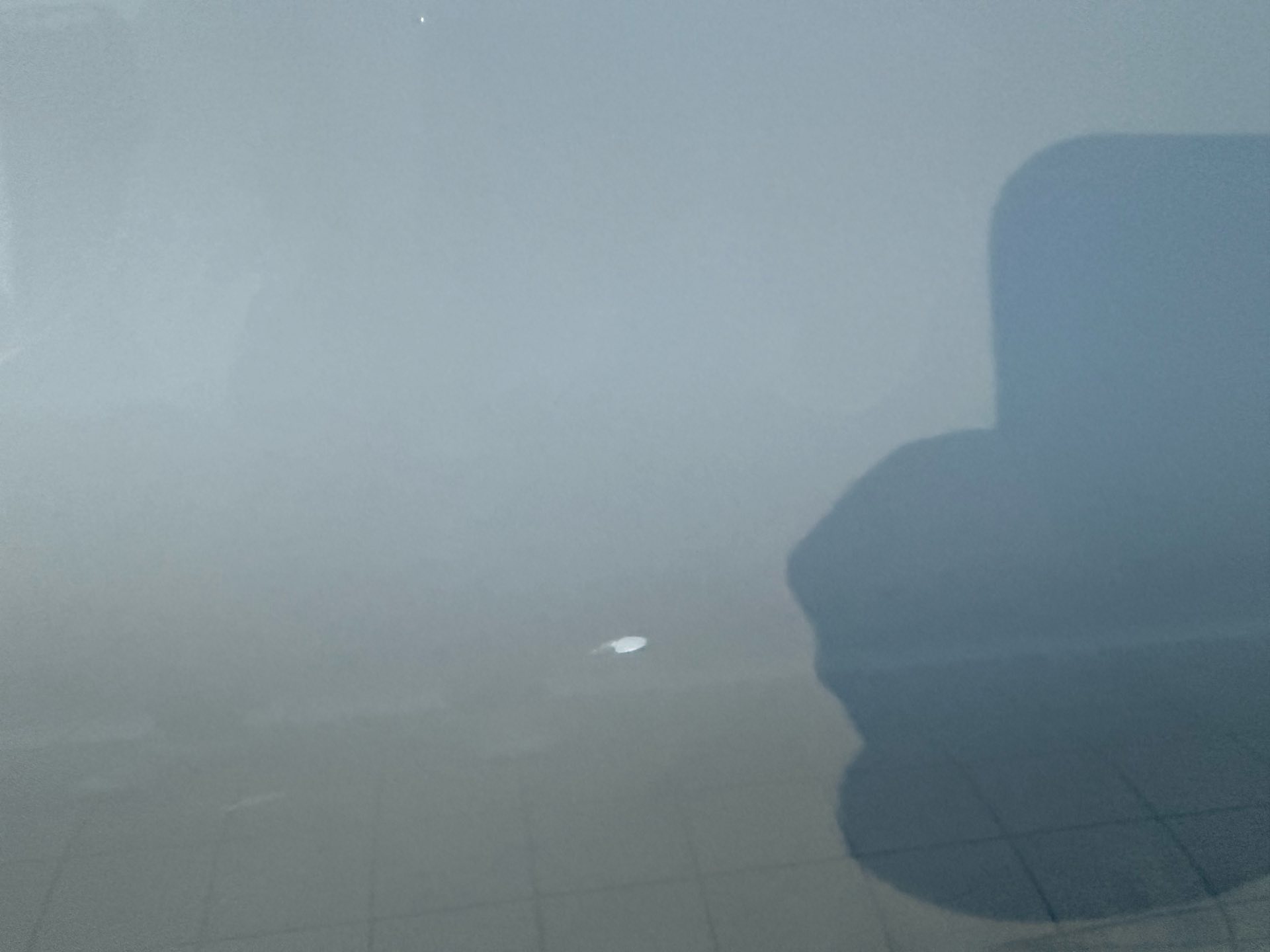 BMW 3 Series 2021 car image #11