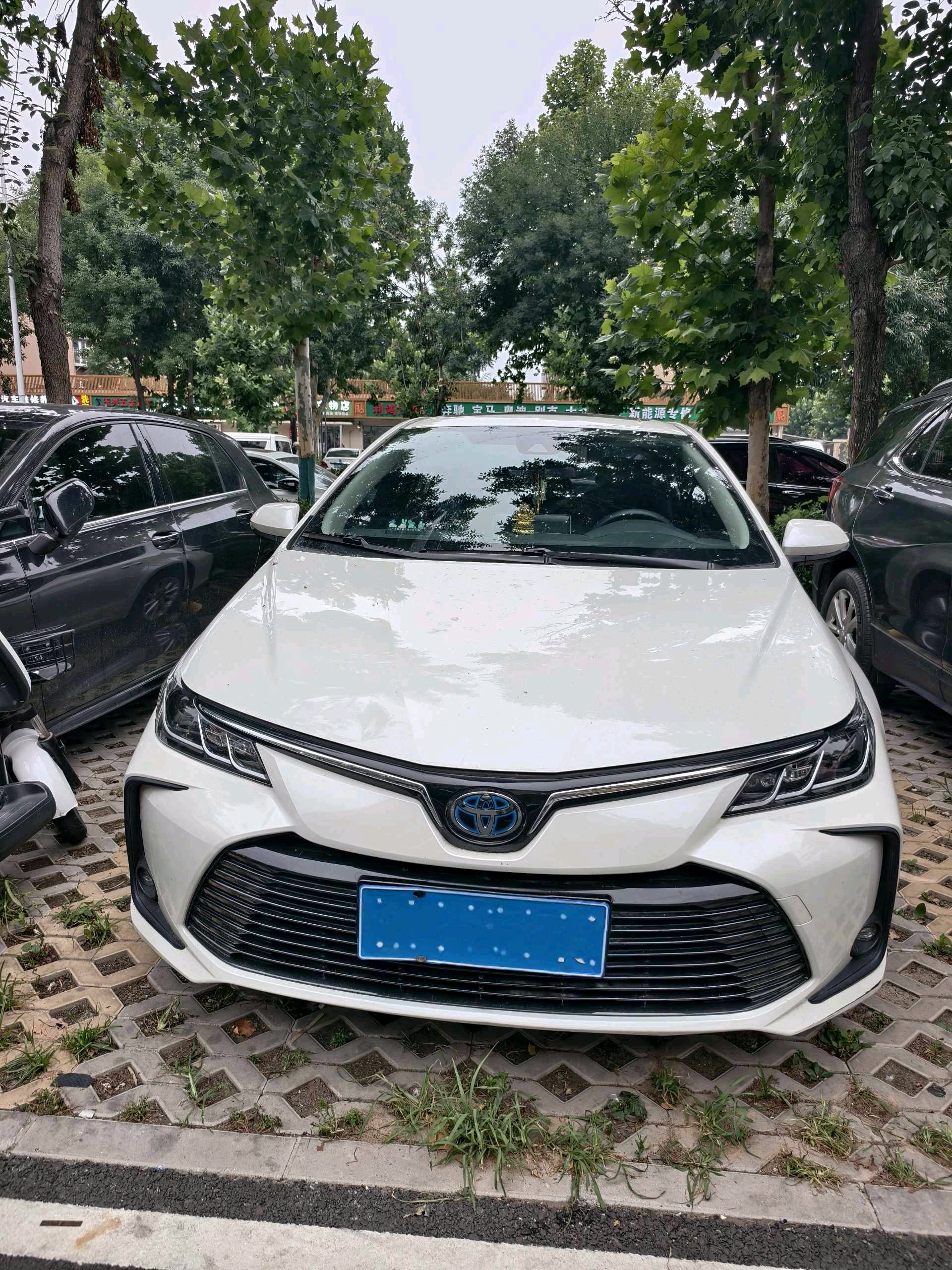 Toyota Corolla 2020 #2 Toyota Corolla 2020 car image #2