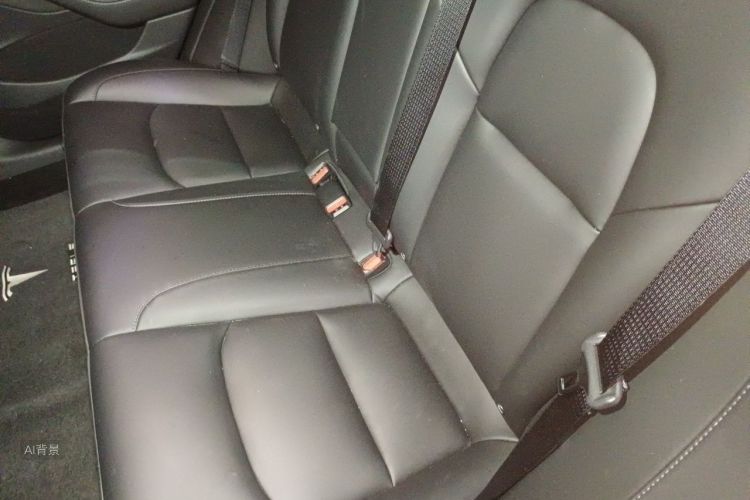 Tesla Model 3 2022 car image #19