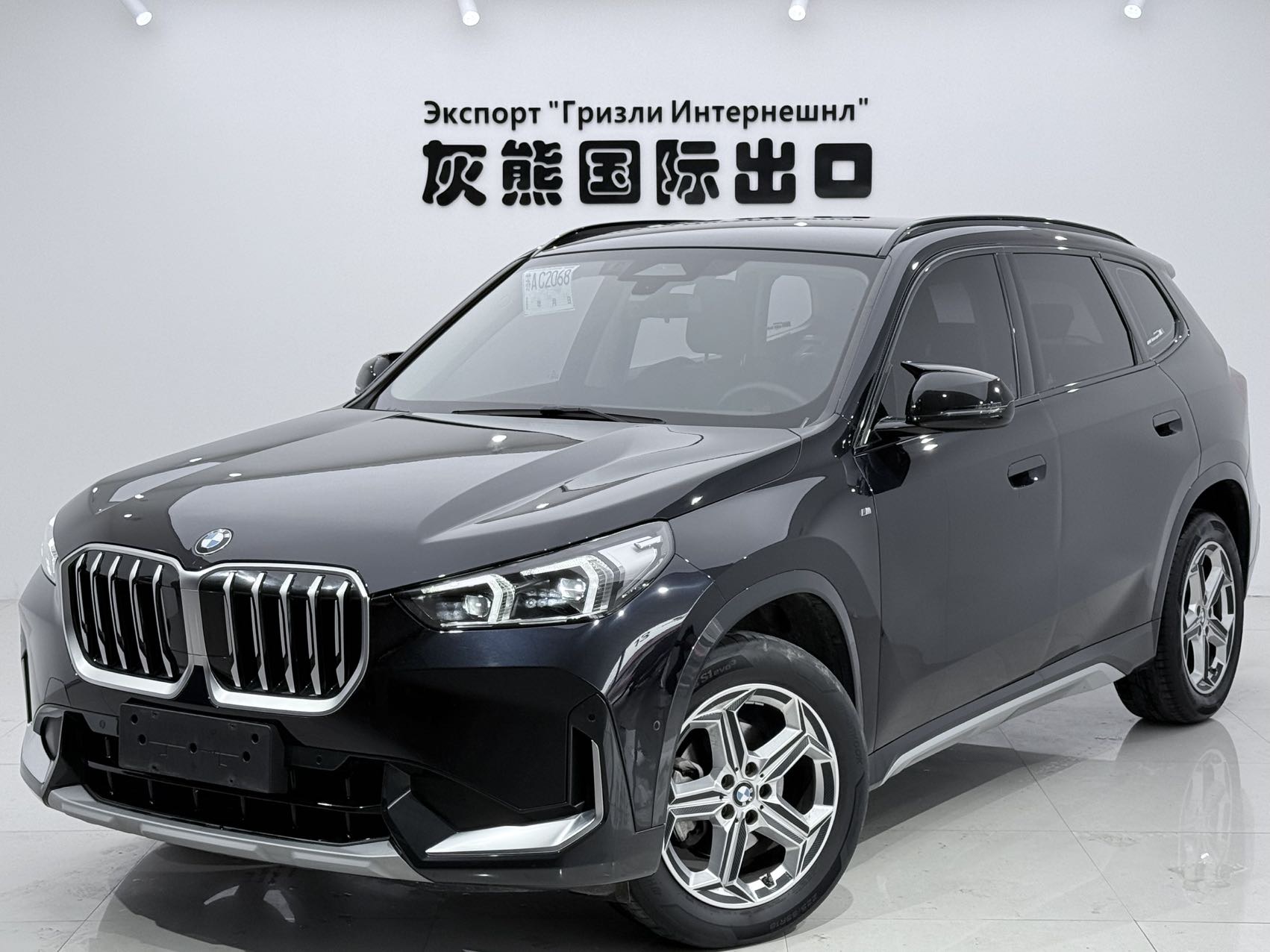 BMW X1 2024 imagen de coche 