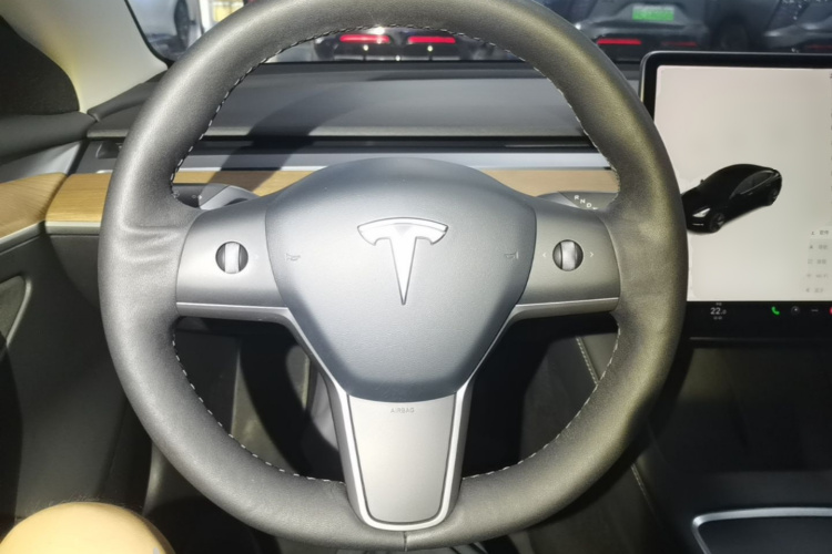Tesla Model 3 2021 car image #11