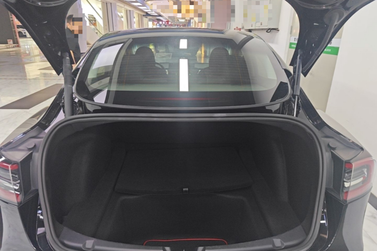 Tesla Model 3 2021 car image #19