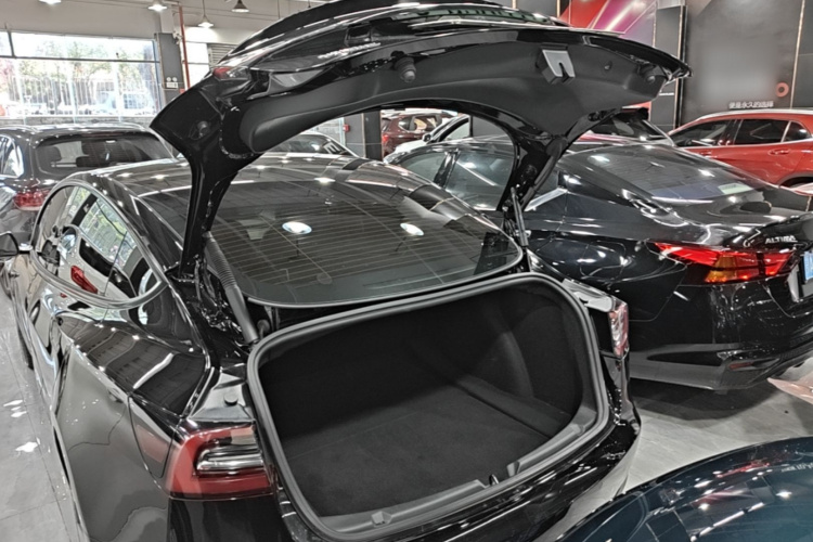 Tesla Model 3 2022 #19 Tesla Model 3 2022 immagine di auto #19