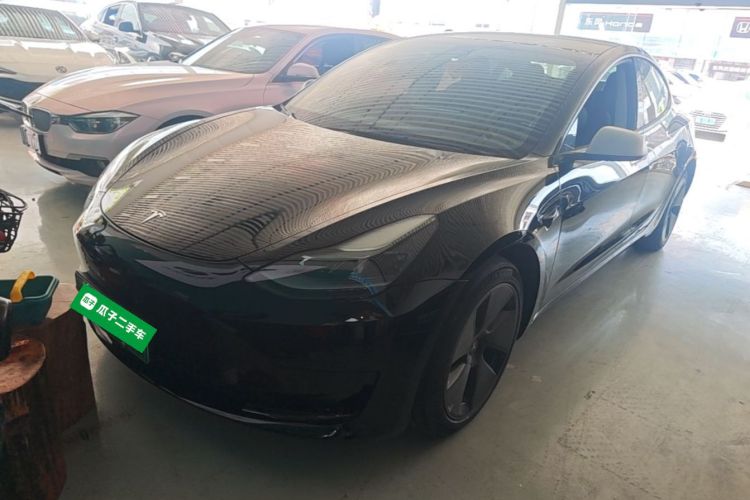 Tesla Model 3 2022 immagine di auto #2