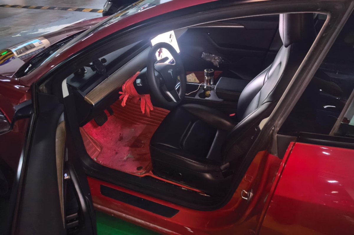 Tesla Model 3 2021 immagine di auto #4