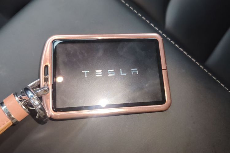 Tesla Model Y 2021 #14 Tesla Model Y 2021 immagine di auto #14