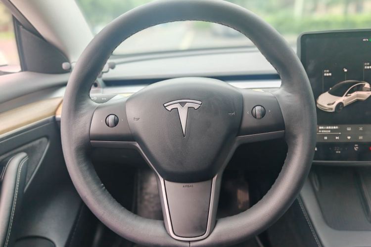 Tesla Model 3 2021 #16 Tesla Model 3 2021 car image #16